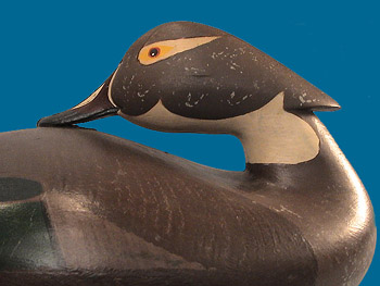 Superb Mitchell Wood Duck pair