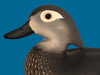 Joiner Wood Duck