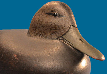 Heisler Black Duck front right side detail