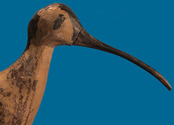ESVA head detail early Curlew