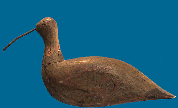 Early Virginia Shorebird
