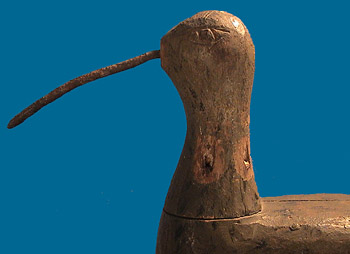 Early Eastern Shore of VA shorebird head detail