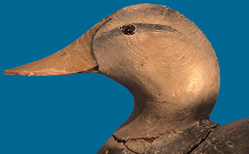 Ward Bro. Black Duck head detail