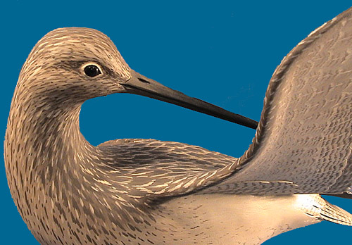 Eddie Wozny Yellowlegs