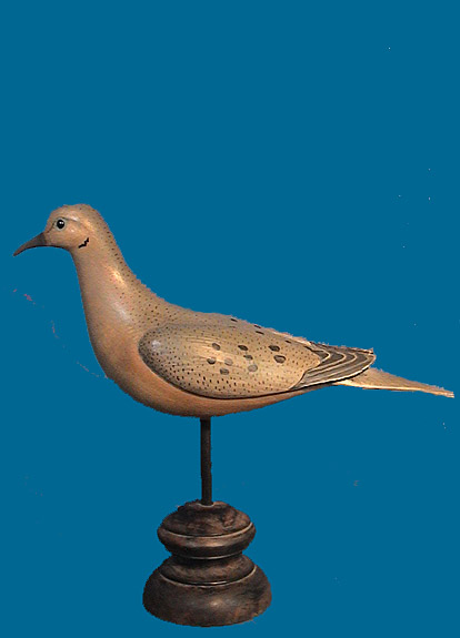 WG DOVE