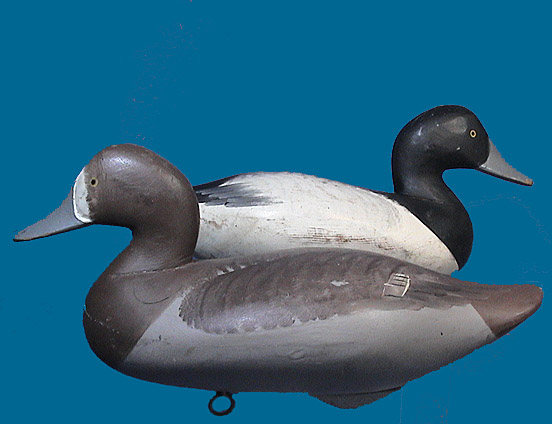 old duck goose swan brant shorebird decoys for sale