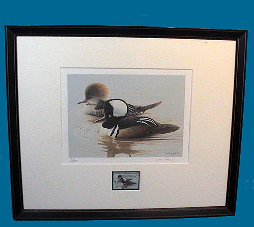 MD HOODED MERGANSER PRINT