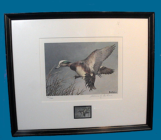 MD WIDGEON DUCK STAMP PRINT