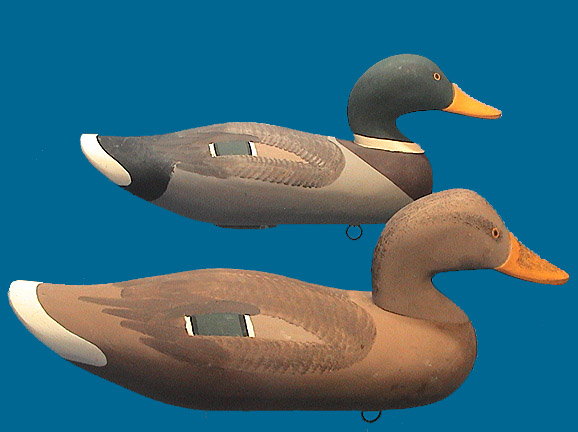 PAUL GIBSON MALLARD PAIR