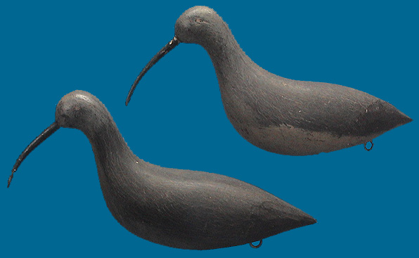 Eskimo Curlew