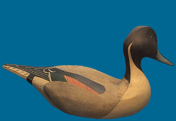 CS PINTAIL