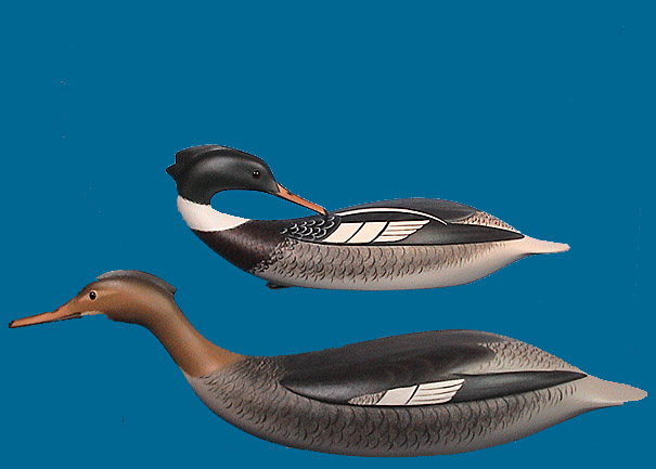 Marty Collins Merganser pair