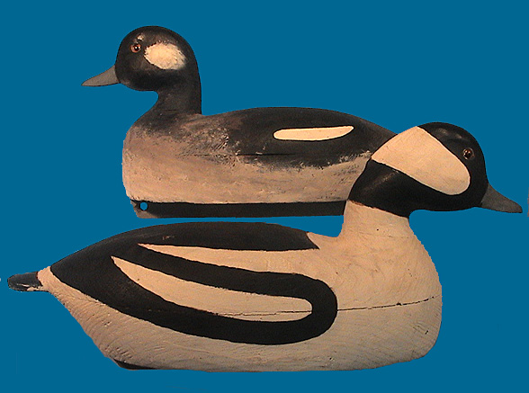 Edson Gray Bufflehead pair