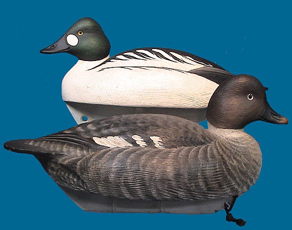 Marty Hanson Goldeneye decoys