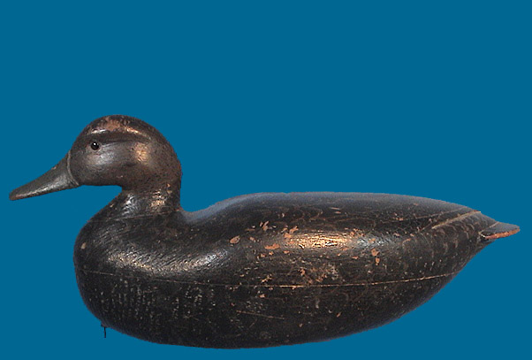 Dave Watson Black Duck