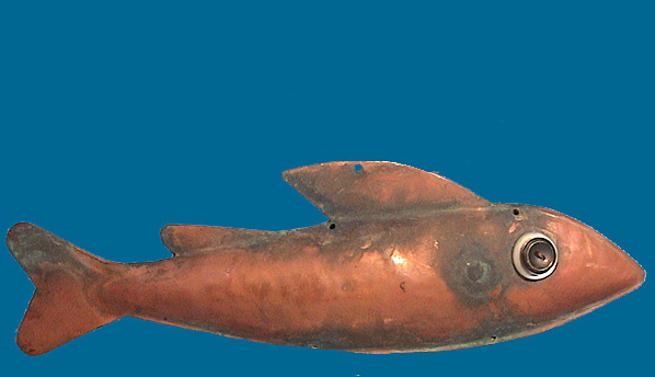 Copper fish 