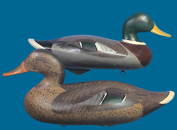 Mitchell Mallard pair