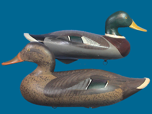 MM Mallard pr