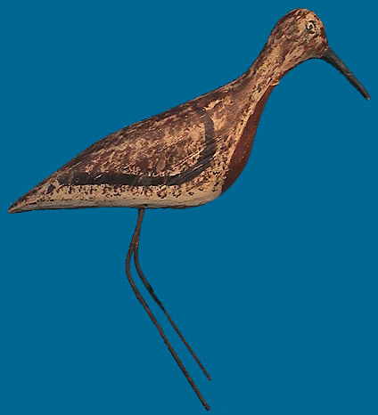 Red Knot wire leg