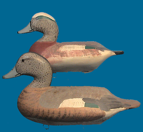 Evans Widgeon pr